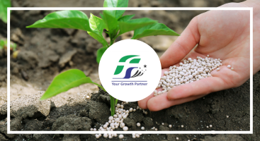 Five Star Agro Fertilizers